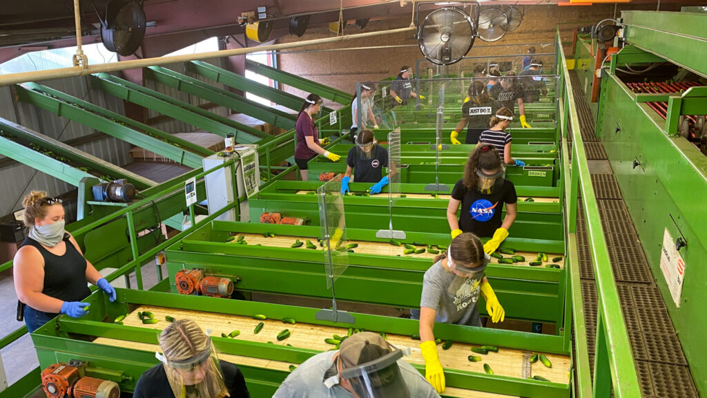 New on-demand webinar explores labor challenges and opportunities for growers