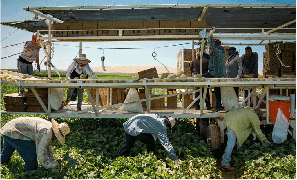 Rising labor, volatile markets: The cost disconnect growers can’t control