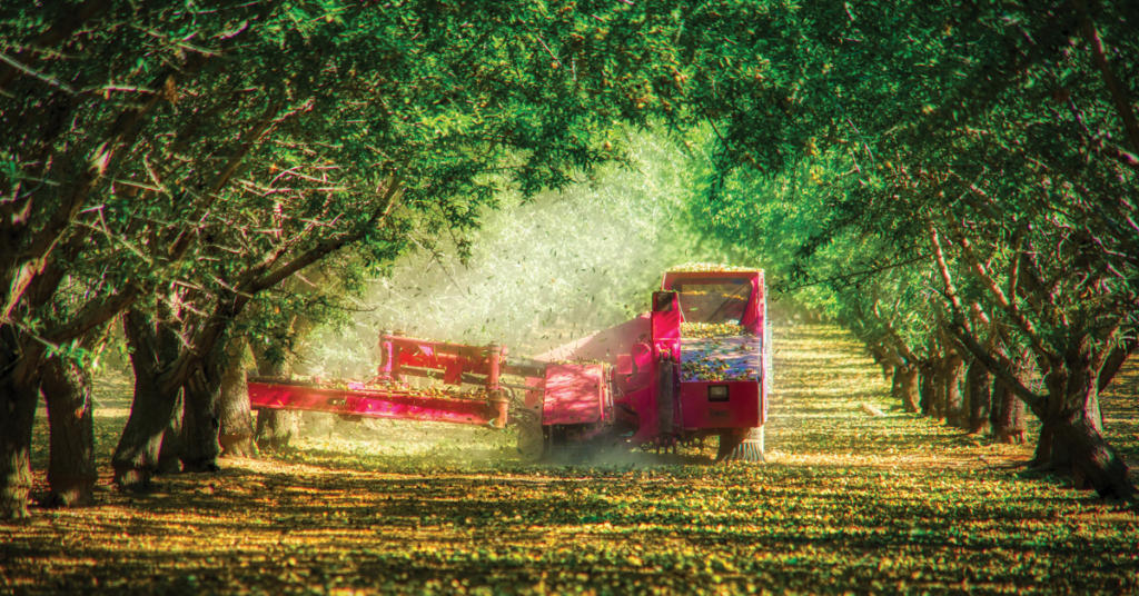 Adapting to challenges