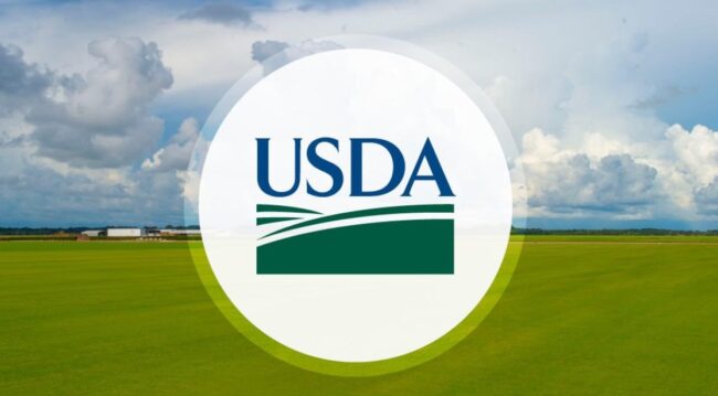 USDA: 2026 fruit, tree nut outlook signals cautious optimism for growers