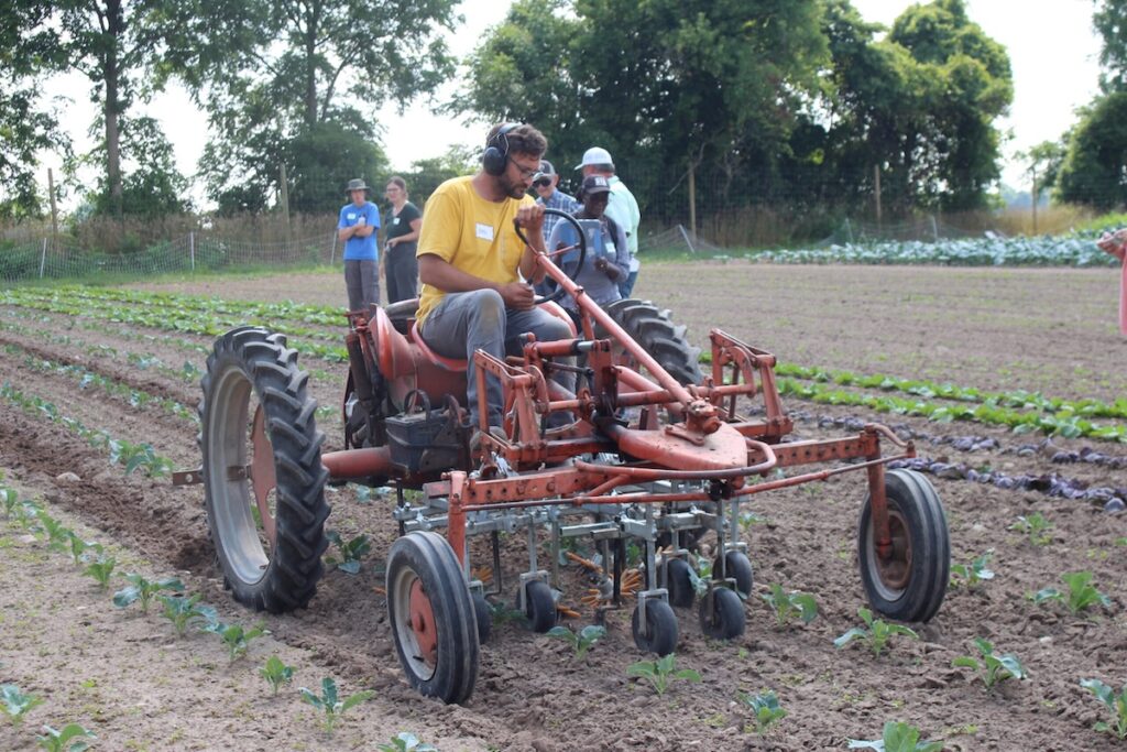 Mechanical advances help target weeds on organic vegetable farms