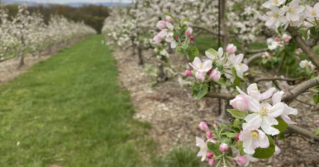 Fresh Views: Sustainability for the future of farming