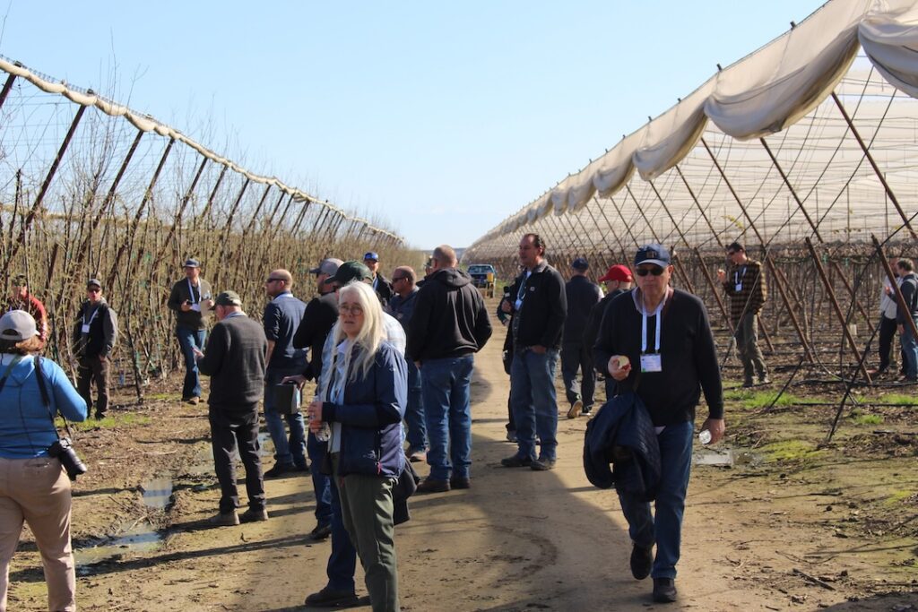 High-density systems, PGR trials and harvest innovations headline IFTA’s Winter Tour