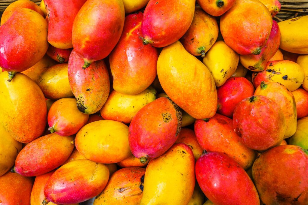 Companies teaming up to explore mango commercial opportunities