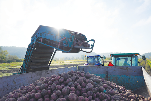 Wisconsin grower keeping alive generational tradition
