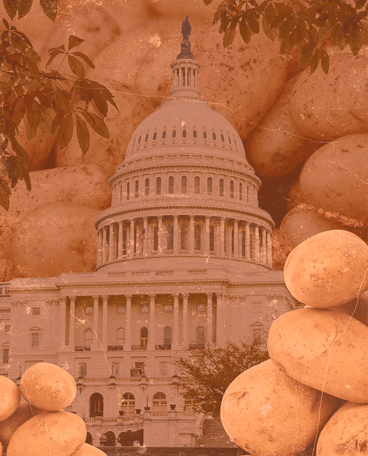 Potato industry catches its breath heading into 2026