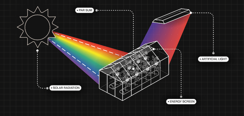 Source launches Approximated PAR Sum software for greenhouse growers